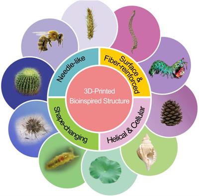 Recent Progress in 3D Printing of Bioinspired Structures
